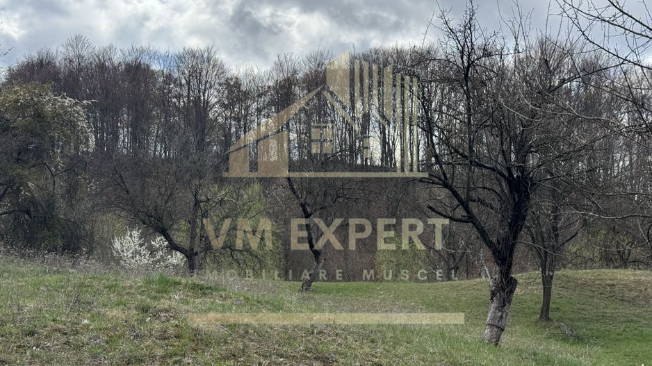 TEREN INTRAVILAN 4365 MP POENARII DE MUȘCEL  JUDEȚUL ARGES - Poză 4