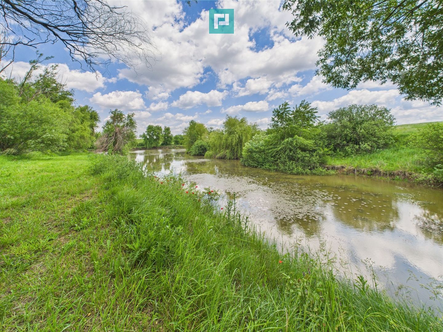 Teren cu baltă- oportunități multiple la Fibiș - Poză 15