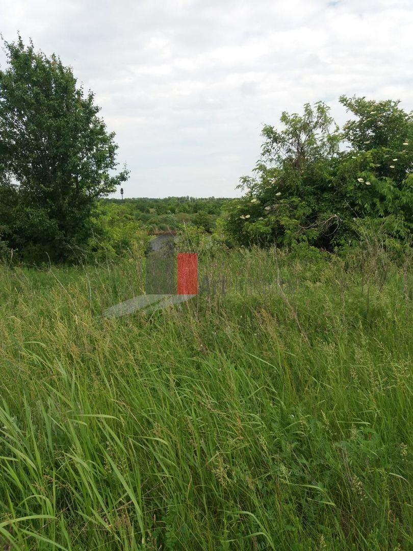 Teren Buftea cu iesire la lac - Poză 28