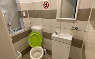Casa zona Lipovei - Poză 13