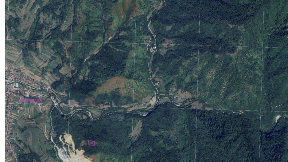Teren pădure 64000 mp Pietroasa spre Boga - Poză 2
