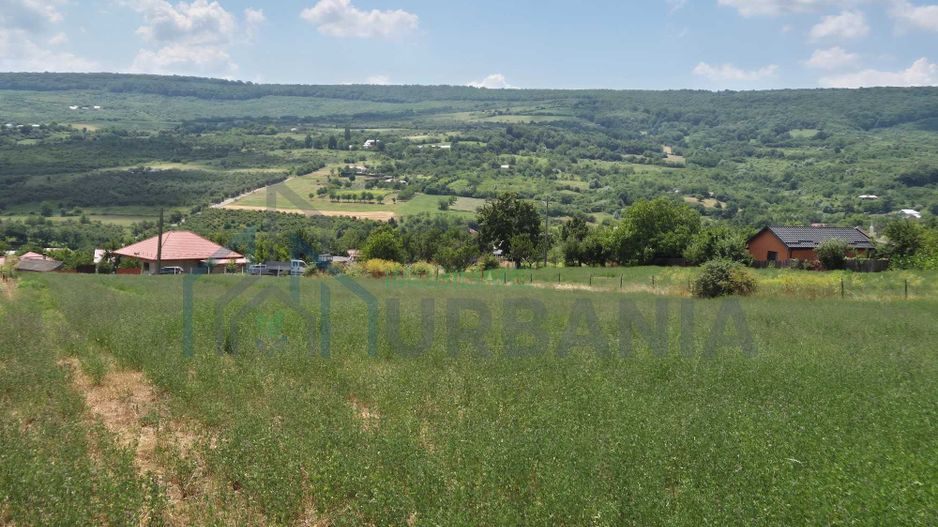 Teren intravanal de vanzare in Tomesti-Goruni, Iasi - Suprafete intre 700 si 800 mp - Poză 3