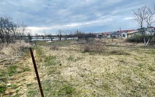 Teren Intravilan cu Front Dublu în Paleu - Poză 2