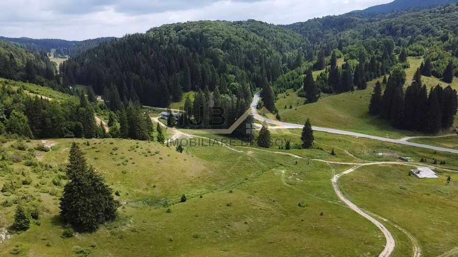 Teren deosebit pentru construire Poiana Aviatorilor Brasov | 4.888mp - Poză 4