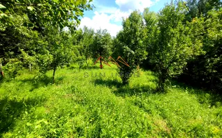 CASĂ INDIVIDUALĂ CU LIVADĂ | 2.195 MP TEREN | POIANA CÂMPINA - Poză 23