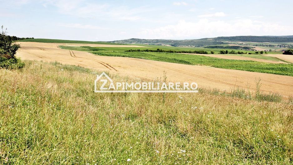 Teren 9.600 mp.17 euro mp deschidere la drum 200 m. - Poză 5