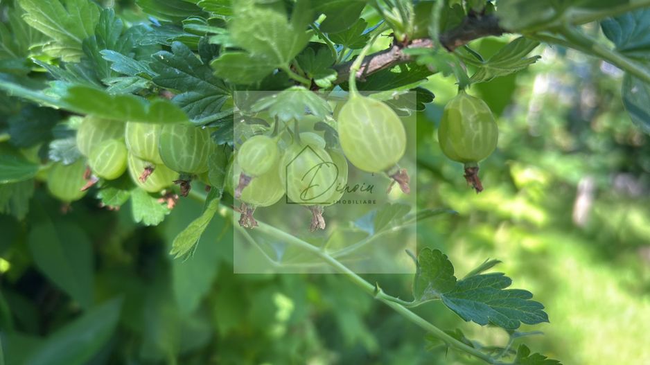 Vila de vanzare in Tunari I Gata de mutat I 4 camere I 5 parcari - Poză 47