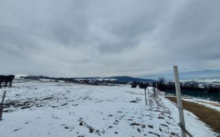 Teren 8.600 mp | Vedere panoramică| Bungard - Poză 12