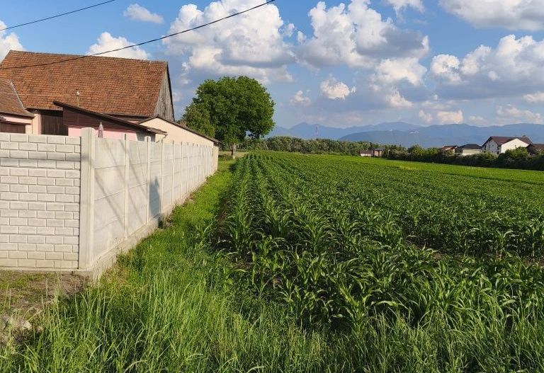 teren intravilan 700mp str. Fagurului, Stupini - Poză 3