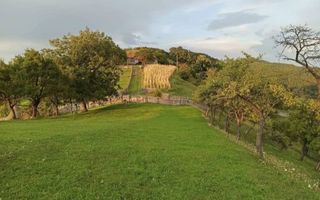 Proprietate cu 60000 mp pamant la pret de apartament - Poză 7