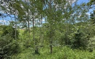 Teren intravilan 1859 mp Plaiu Provita de Sus la asfalt ! - Poză 19