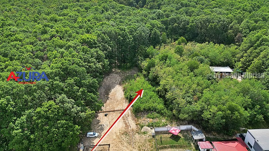 AZURA Imobiliare - Vanzare teren Hintesti, langa padure, 300m din DN - Poză 26
