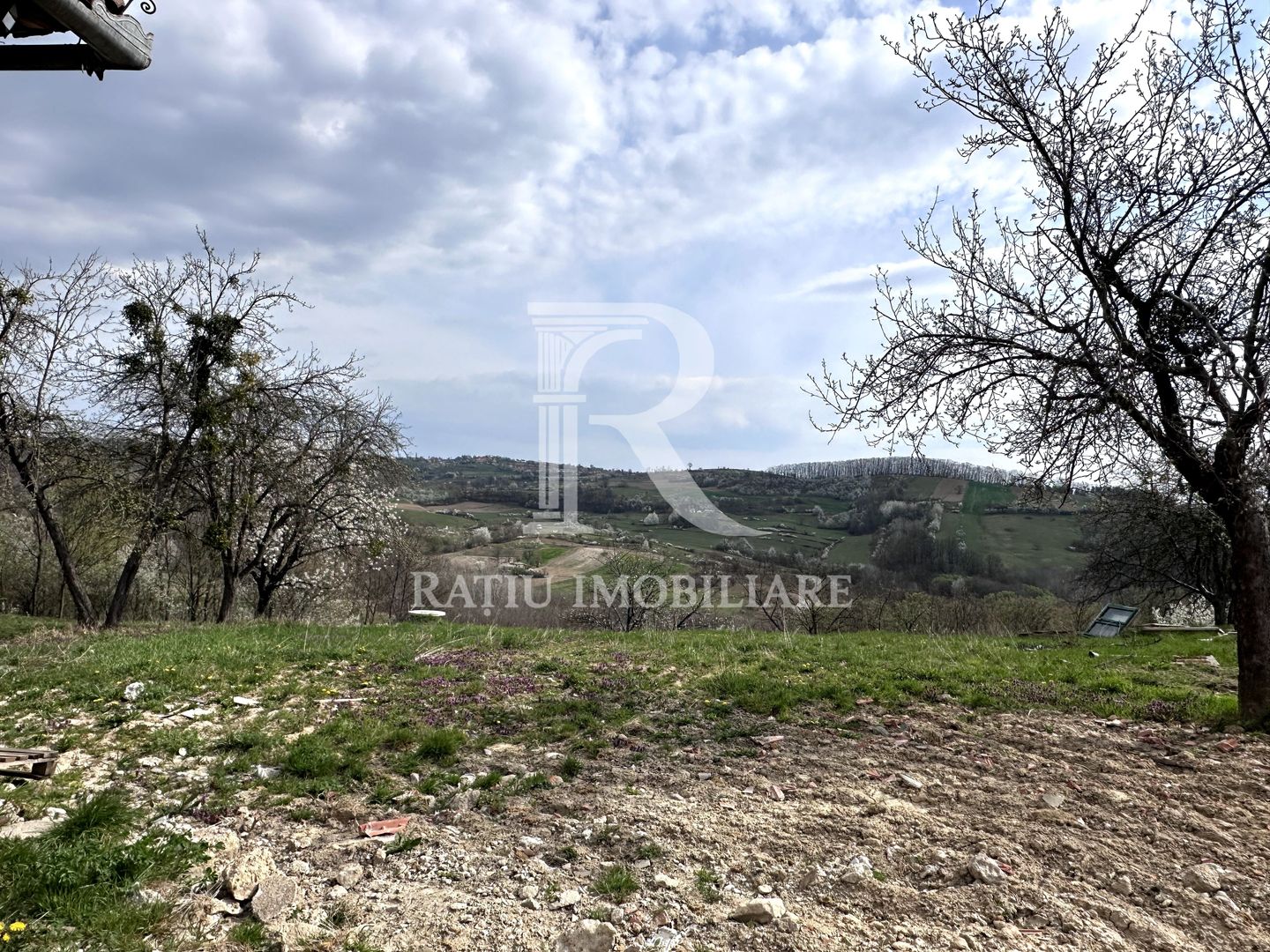 Casa cu livada | teren 2800 mp | Stracos | Bihor - Poză 10