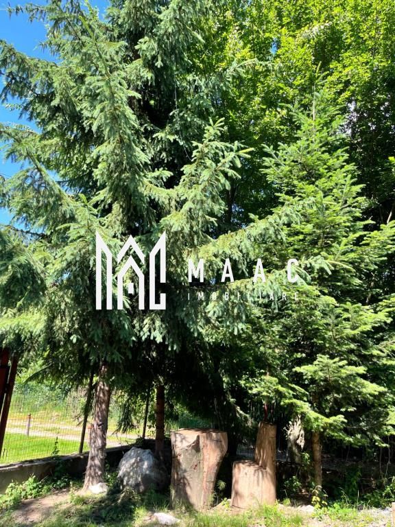 Pensiune Turistica 360MPU | Porumbacu de Sus | - Poză 4