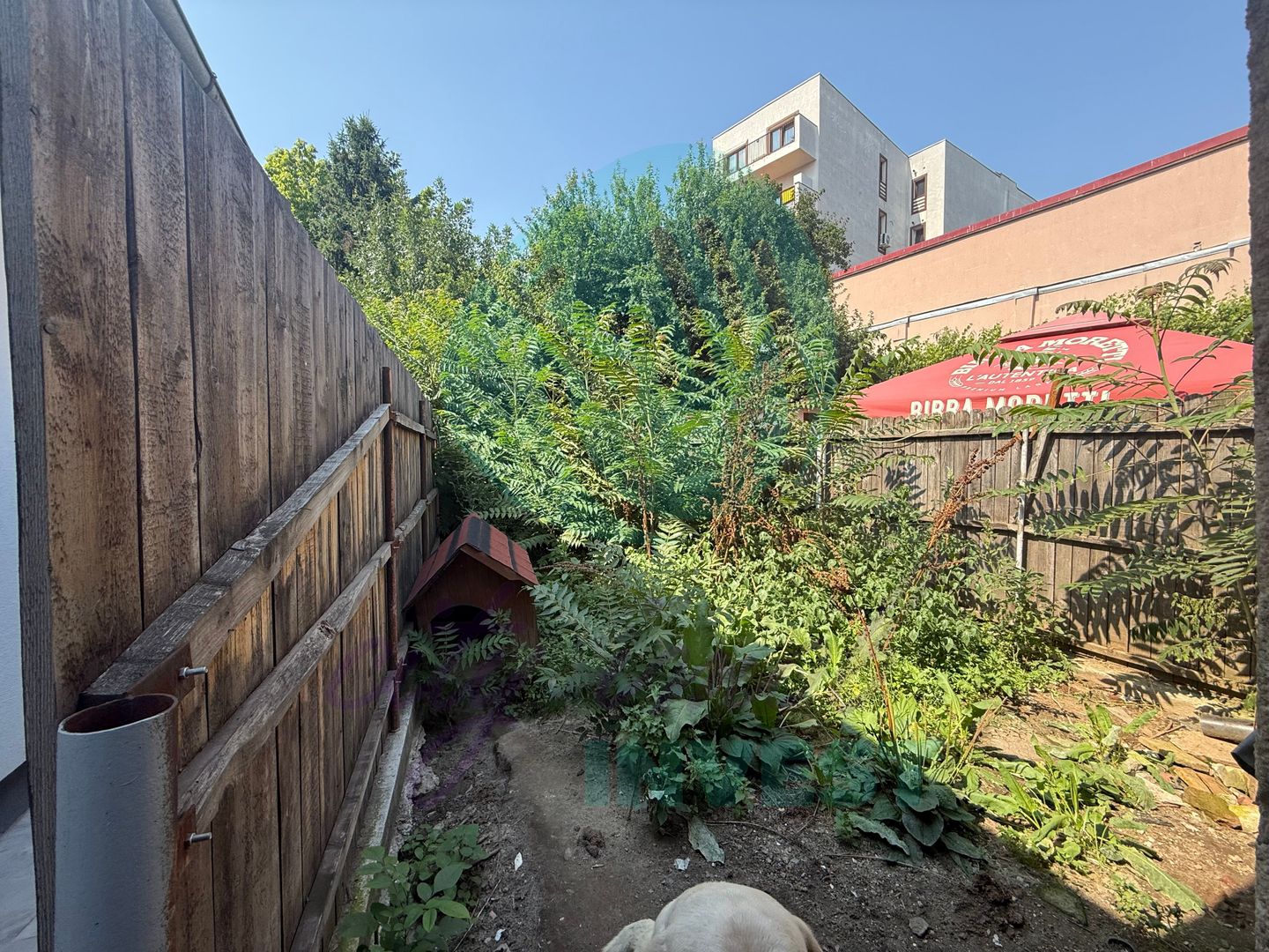 Casa adiacent Pache Protopopescu - Poză 5