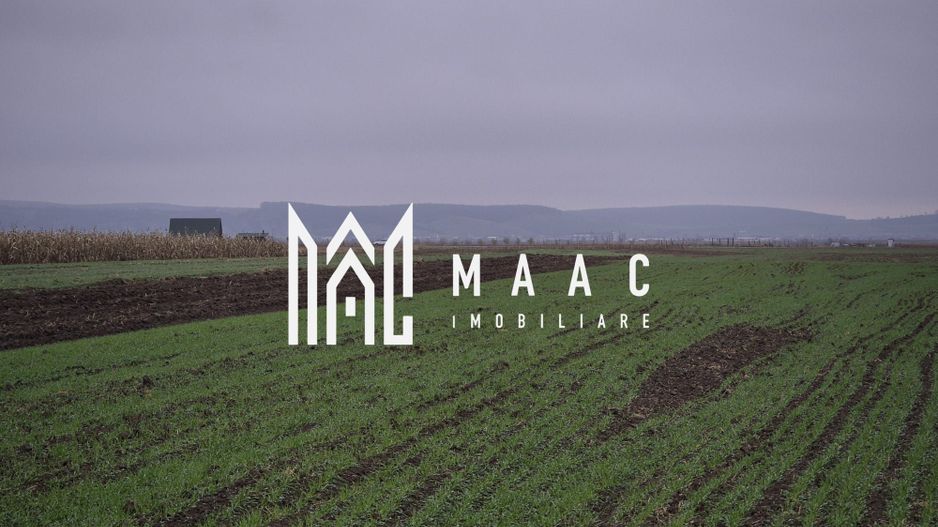 Teren extravilan | Gura raului | 2250 MP - Poză 1