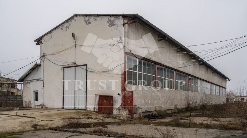 Teren 28.788m + Hale industriale + Sediu Firma - Poză 21