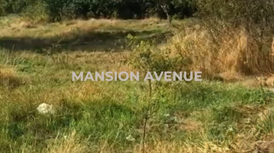 Teren intravilan 1.433 m.p. in Lunca, jud. Tulcea - Poză 2