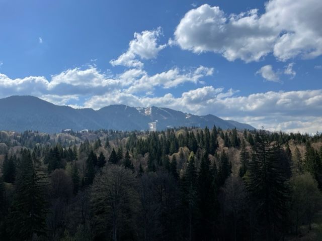2 camere, intim, semineu, Silver Mountain - Poză 18