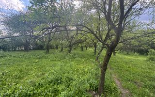 TEREN INTRAVILAN 7018 MP CAMPULUNG - Poză 25