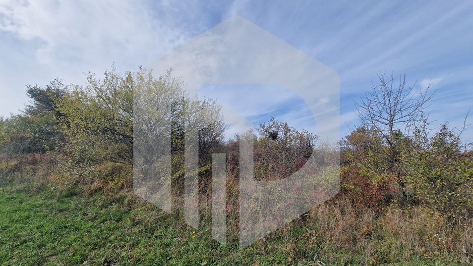 Teren de vanzare - 1500 mp - Daia Noua - Poză 3