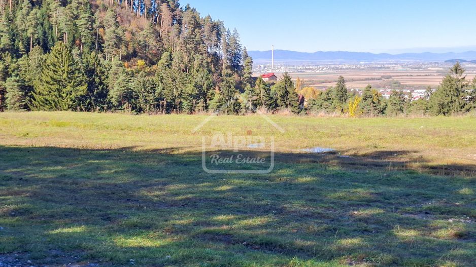 Teren Intavilan I Poiana Angelescu Sacele - Poză 6