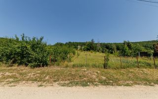 Teren intravilan Ștefănești Valea Mare Podgoria - Poză 4