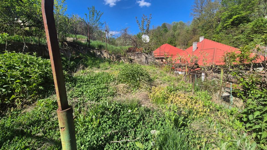 Casa langa Gradina Zoologica - Poză 9