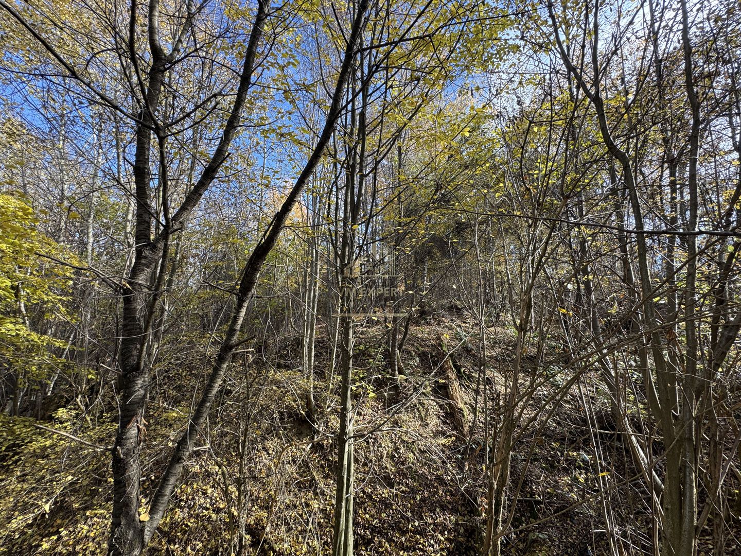 TEREN INTRAVILAN 13167 MP BUGHEA DE SUS ARGES - Poză 27