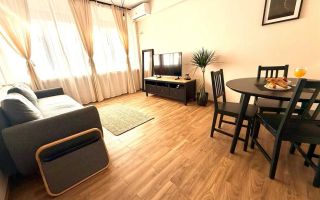 Apartament 2 camere - Nicolae Balcescu - Poză 2