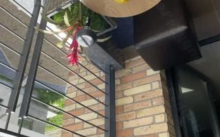 ✨ Studio modern de vânzare – bloc nou – Focșani - Poză 6