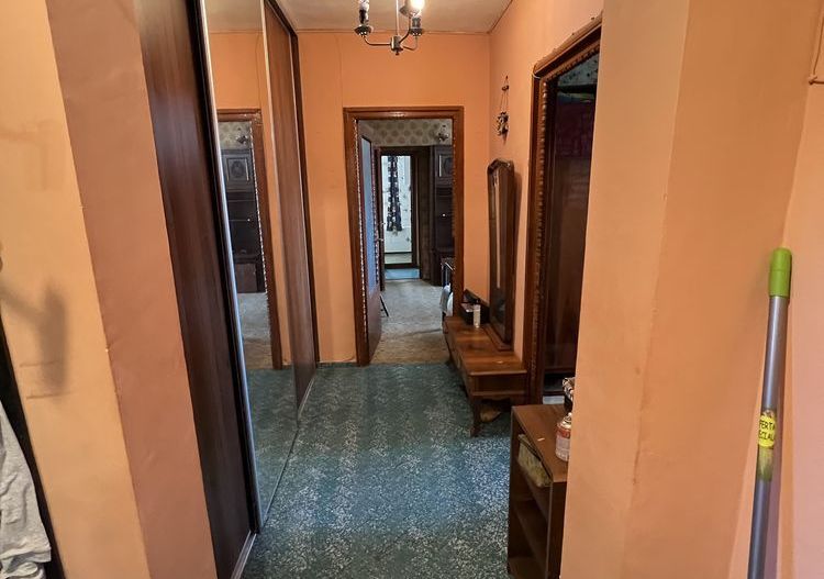 Gorjului 3 camere - Poză 2