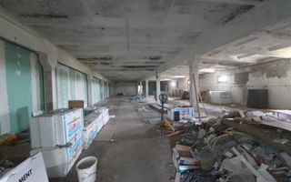 Spațiu industrial la sosea: Dumbravita - Giarmata - Poză 34