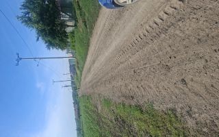 Teren de 6500 mp pentru construcție casă, Popesti - Poză 3