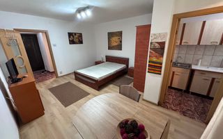Garsoniera Turda Ion Mihalache Parcul Regina Maria Bloc 82 - Poză 10