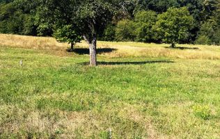 Teren extravilan , zona Sura Mare conform PUZ- case de vacantă !!