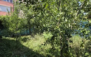 Casa de vanzare Aradului - Poză 17
