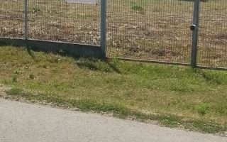Teren intravilan 2500 mp cu deschidere de 35 m la strada principală, Dobrovăț - Poză 8