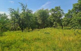 Teren | 12.922 MP | Loamneș - Poză 1