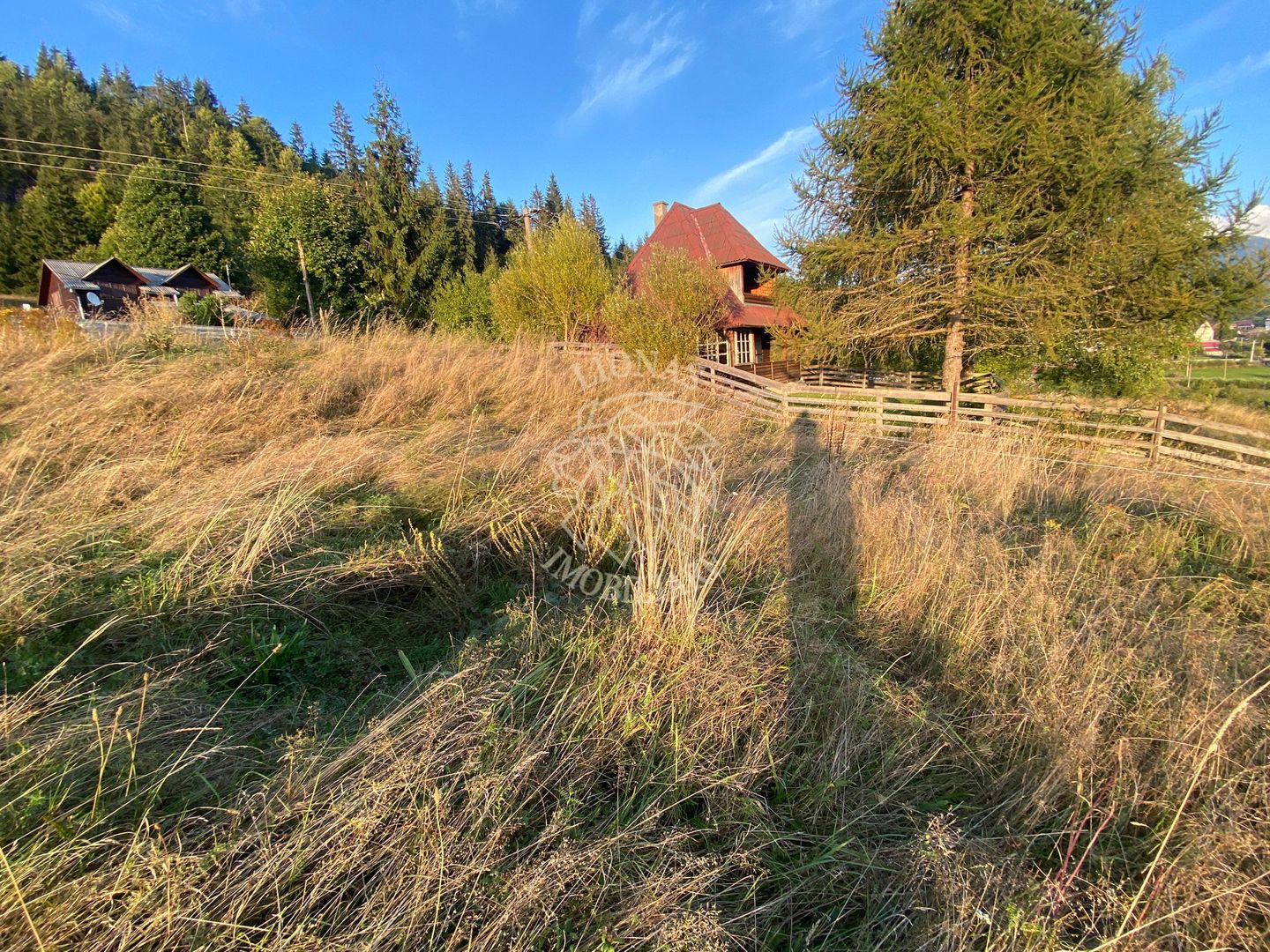 Teren Intravilan 1000mp-panorama-oportunitate investitie-Colibita - Poză 6