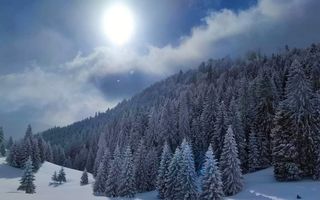 Pensiune 10 camere in statiunea Muntele Baisorii - Poză 22