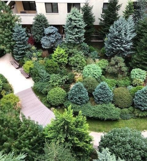 APARTAMENT LUX | PARCARE SUBTERANA | HERASTRAU - Poză 8
