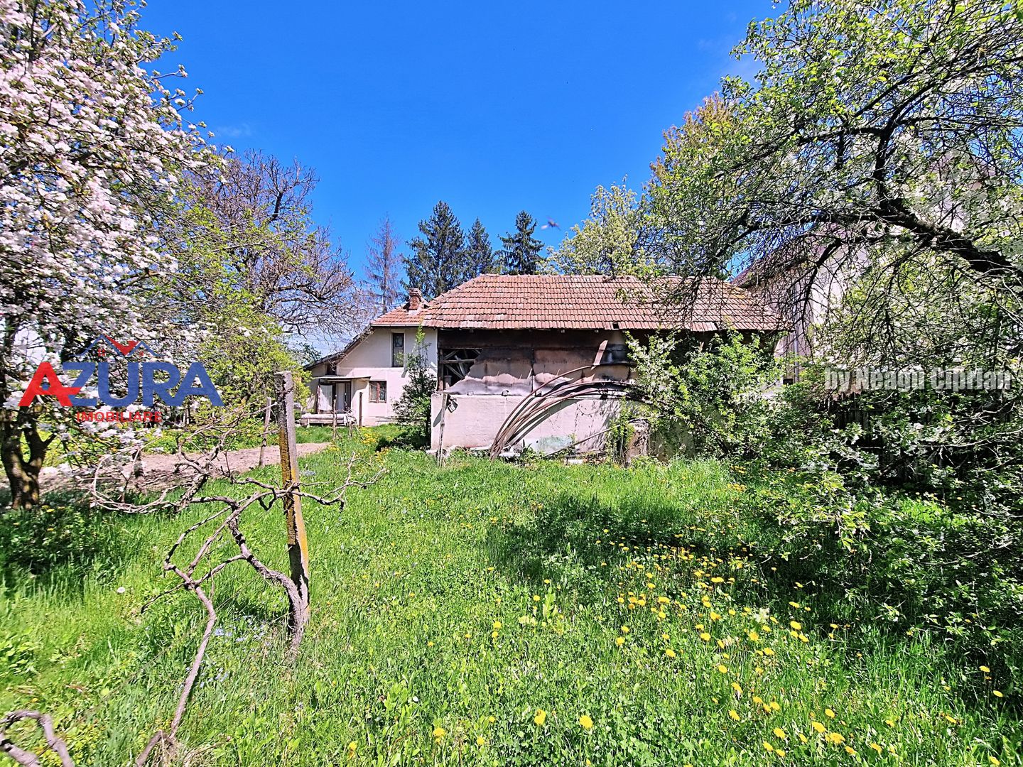 AZURA Imobiliare - Casa Merisani Varzaru DN - Poză 17