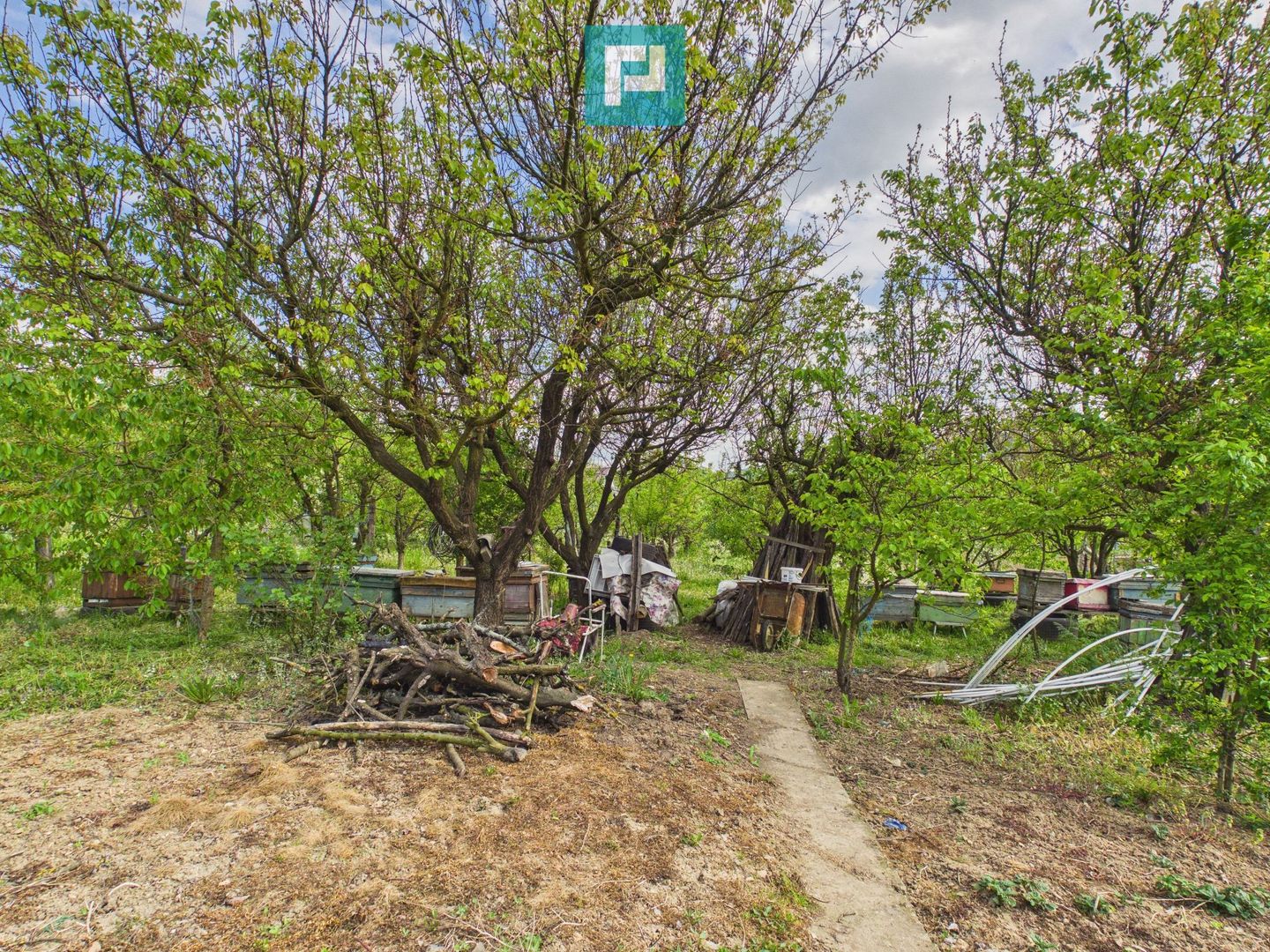 Casă cu 3 camere și teren generos în Drauț - Poză 15