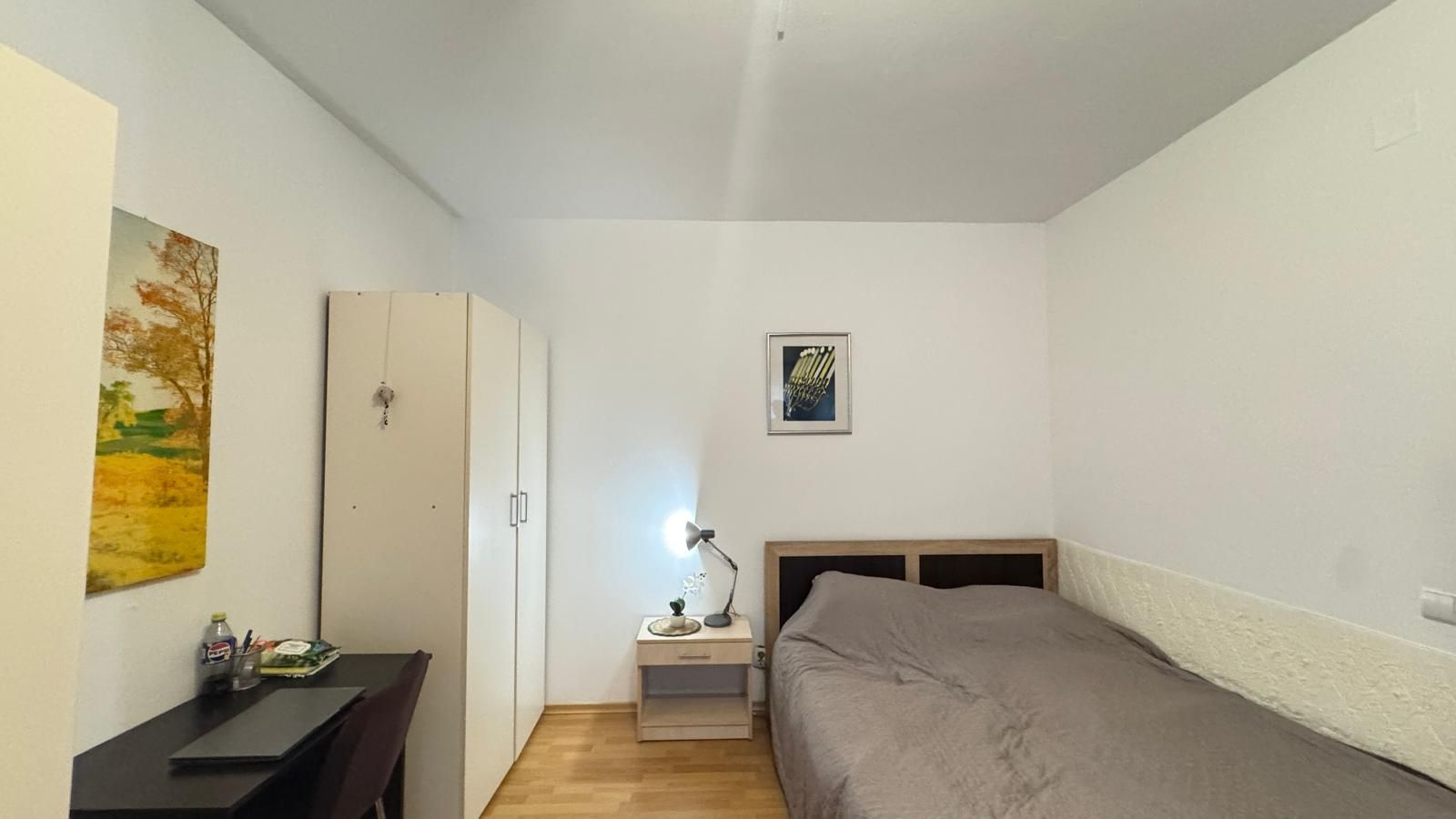 APARTAMENT 1 CAMERĂ | PARCUL IULIU HAȚIEGANU | PLATINIA  | INVESTIȚIE EXCELENTĂ - Poză 3