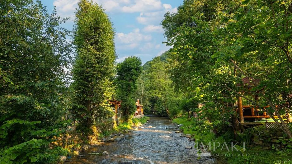 Cabana la Munte, ideală pentru vacanțe sau investiție! - Poză 4