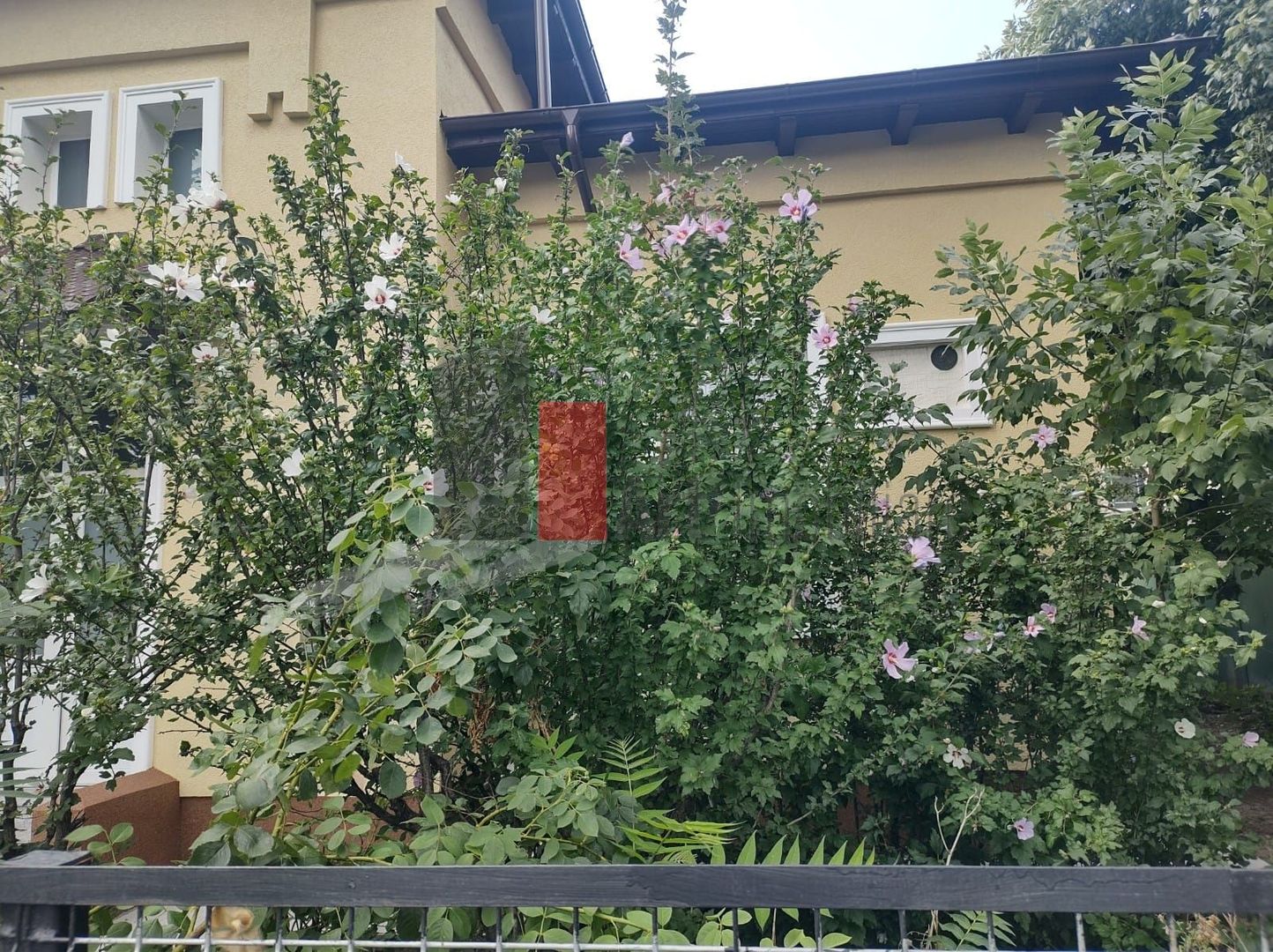 Închiriere casă Șoseaua Progresului - Poză 4