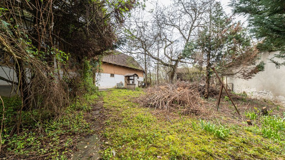 Casă în zona centrală Pâncota - Poză 9