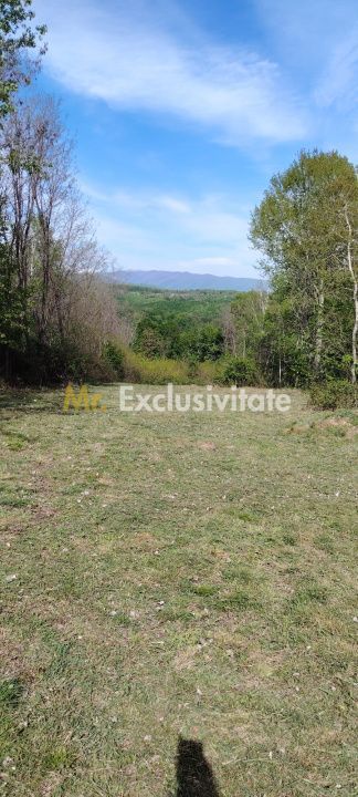 Teren zona montana in com.Turcinesti Jud.Gorj - Poză 10