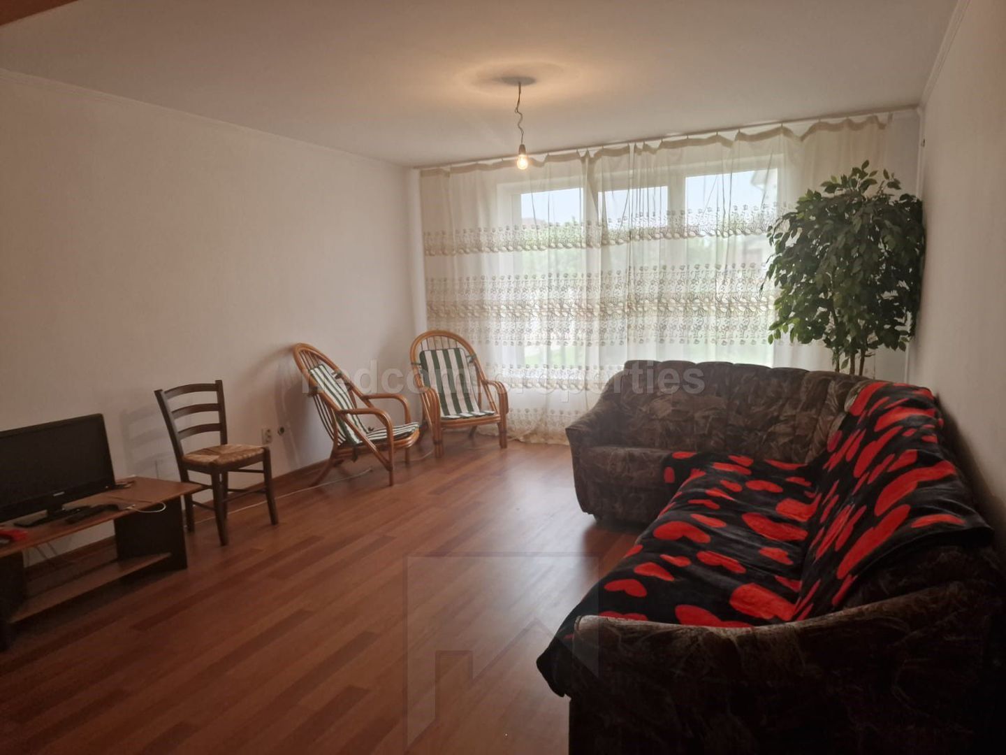 Vanzare Casa P+1 Magurele - Poză 3